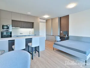 Pronájem bytu 1+kk, Brno, Hybešova, 46 m2
