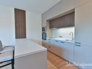 Pronájem bytu 1+kk, Brno, Hybešova, 46 m2