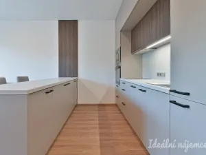 Pronájem bytu 1+kk, Brno, Hybešova, 46 m2