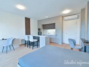Pronájem bytu 1+kk, Brno, Hybešova, 39 m2