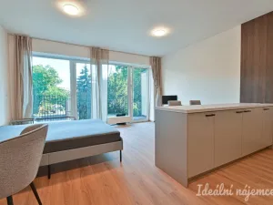 Pronájem bytu 1+kk, Brno, Hybešova, 39 m2