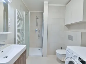 Pronájem bytu 1+kk, Brno, Hybešova, 39 m2