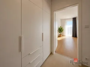 Pronájem bytu 1+kk, Plzeň - Jižní Předměstí, Železná, 35 m2