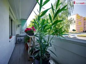 Prodej bytu 3+1, Neratovice, Na Výsluní, 71 m2