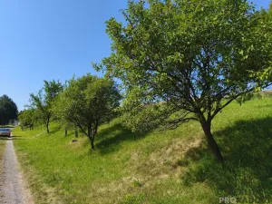 Prodej rodinného domu, Bystřice pod Hostýnem - Hlinsko pod Hostýnem, 187 m2