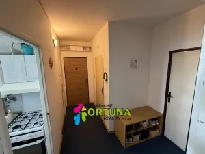 Prodej bytu 2+1, České Budějovice - České Budějovice 2, Emy Destinové, 61 m2