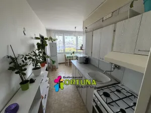 Prodej bytu 2+1, České Budějovice - České Budějovice 2, Emy Destinové, 61 m2