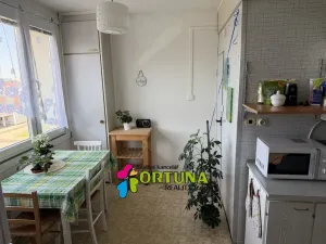 Prodej bytu 2+1, České Budějovice - České Budějovice 2, Emy Destinové, 61 m2