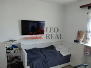 Prodej vícegeneračního domu, Slavíkov, 400 m2