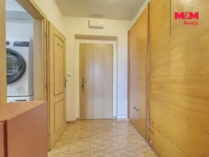 Pronájem bytu 1+kk, Plzeň - Východní Předměstí, Plzenecká, 33 m2