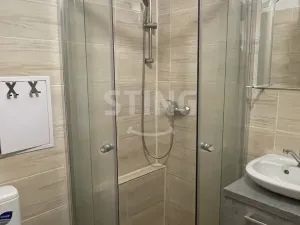 Pronájem bytu 1+kk, Ostrava, Krakovská, 20 m2