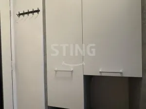 Pronájem bytu 1+kk, Ostrava, Krakovská, 20 m2