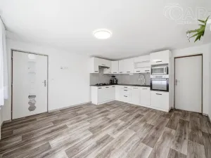 Prodej rodinného domu, Račice-Pístovice - Račice, 100 m2