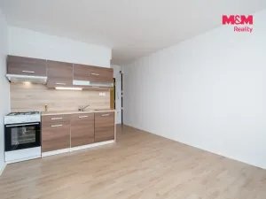 Prodej bytu 1+1, Ústí nad Labem, Kmochova, 33 m2