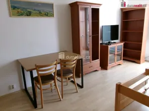 Pronájem bytu 1+kk, Mladá Boleslav - Mladá Boleslav III, U Kasáren, 40 m2