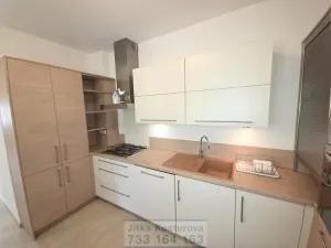 Prodej bytu 4+1, Opava - Předměstí, Na Nivě, 197 m2