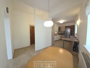 Prodej bytu 4+1, Opava - Předměstí, Na Nivě, 197 m2