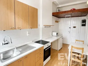 Prodej bytu 1+kk, Praha - Nusle, Soudní, 30 m2