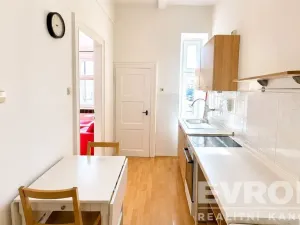 Prodej bytu 1+kk, Praha - Nusle, Soudní, 30 m2