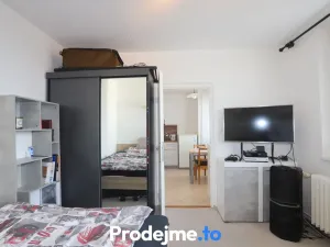 Pronájem bytu 1+1, Brno, Palackého třída, 33 m2