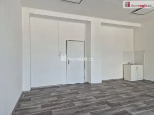 Pronájem kanceláře, České Budějovice - České Budějovice 2, Na Zlaté stoce, 30 m2