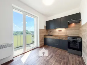 Prodej bytu 1+1, Tisá, 30 m2