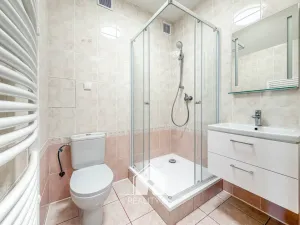 Prodej bytu 1+1, Tisá, 30 m2