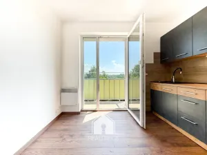Prodej bytu 1+1, Tisá, 30 m2