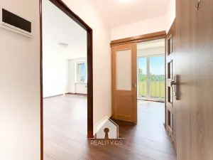 Prodej bytu 1+1, Tisá, 30 m2