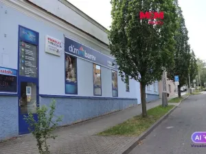 Prodej obchodního prostoru, Mělník, Krombholcova, 300 m2