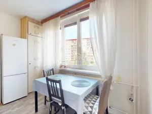 Prodej bytu 2+1, Chomutov, Borová, 60 m2