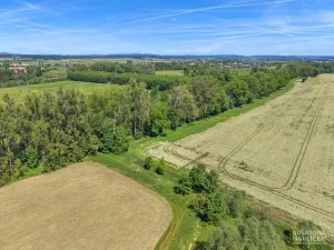 Prodej rybníku, Černožice, 528 m2