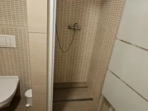 Pronájem bytu 1+kk, Plzeň - Východní Předměstí, Sladkovského, 36 m2