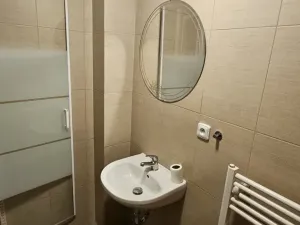 Pronájem bytu 1+kk, Plzeň - Východní Předměstí, Sladkovského, 36 m2