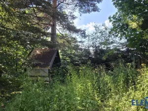 Prodej zahrady, Bělá pod Pradědem - Adolfovice, 950 m2