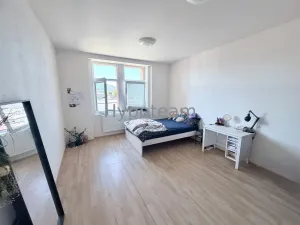 Pronájem bytu 2+1, Ústí nad Labem - Ústí nad Labem-centrum, Jateční, 63 m2