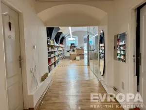 Pronájem obchodního prostoru, Plzeň - Vnitřní Město, Prešovská, 155 m2