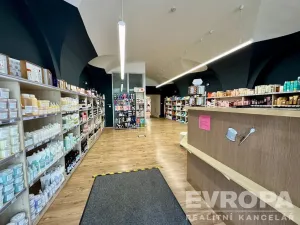 Pronájem obchodního prostoru, Plzeň - Vnitřní Město, Prešovská, 155 m2