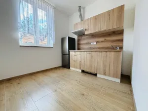 Pronájem bytu 1+1, Praha - Košíře, Holečkova, 35 m2