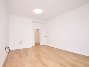Prodej bytu 2+kk, Praha, V olšinách, 46 m2