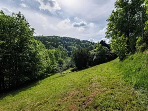 Prodej chaty, Tanvald, U Lávky, 80 m2