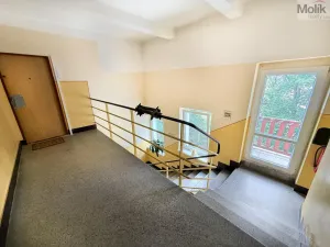 Pronájem bytu 1+kk, Litvínov - Horní Litvínov, Podkrušnohorská, 33 m2