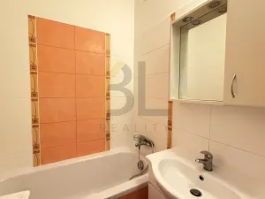 Pronájem bytu 3+1, Hodonín, Cihlářská čtvrť, 71 m2