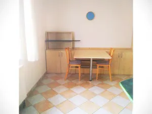 Pronájem bytu 1+kk, Plzeň - Jižní Předměstí, Máchova, 36 m2