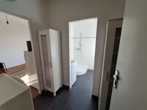Pronájem bytu 1+kk, Brno - Veveří, Slovákova, 22 m2