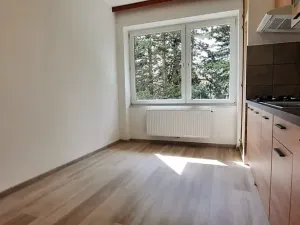 Pronájem bytu 4+1, Brno, Bohuslava Martinů, 95 m2