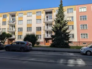 Pronájem bytu 1+kk, Cheb, 17. listopadu, 23 m2