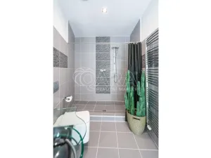 Prodej rodinného domu, Neratovice, Seifertova, 274 m2