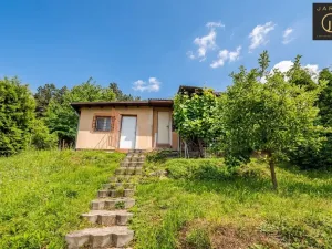 Prodej chaty, Brandýsek - Olšany, 25 m2