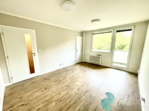 Pronájem bytu 1+kk, Praha, Sládkovičova, 26 m2